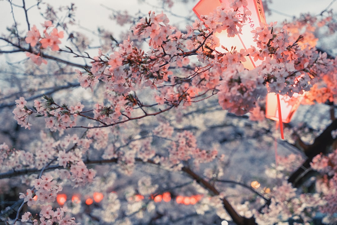 Spring