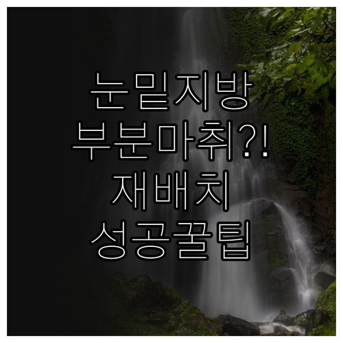 부분마취로 눈밑지방 재배치 성공하는 ..