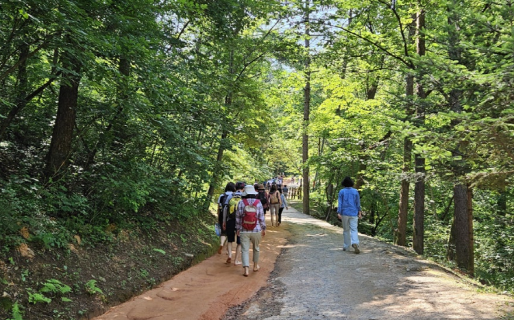 계족산 등산코스