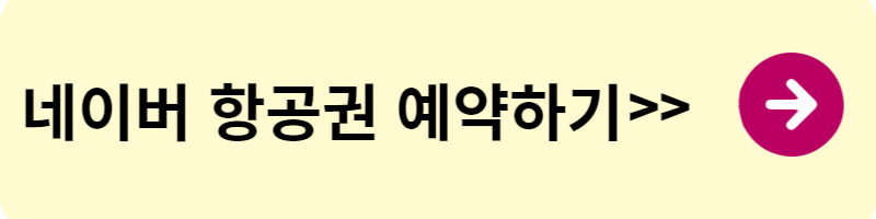 항공권 예약 사이트