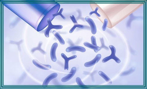 임신 중 질염 생기는 이유 10가지