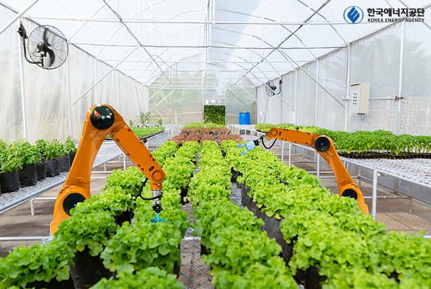 농촌 디지털화, 스마트팜 수혜 기업 선별 전략