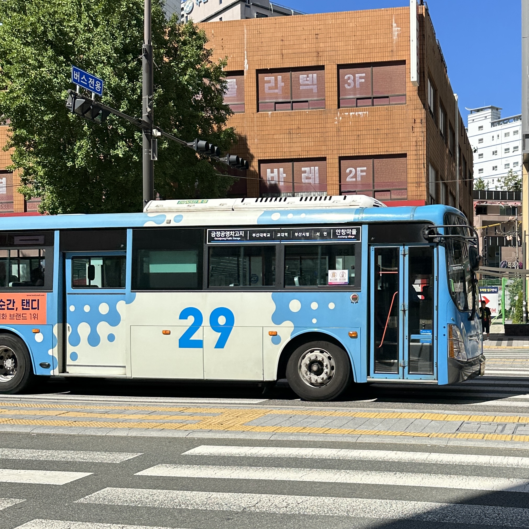 부산29번버스