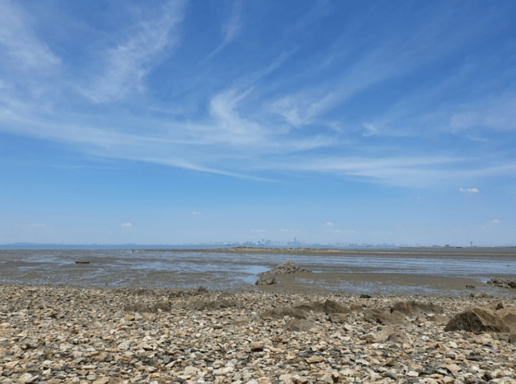 구봉솔숲 해수욕장 (안산시)