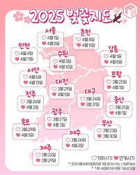 2025년 벚꽃 개화시기