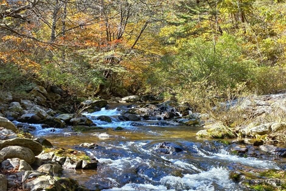봉화 가볼만한곳 베스트 10