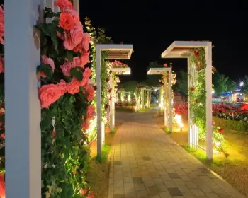 곡성 장미축제_22