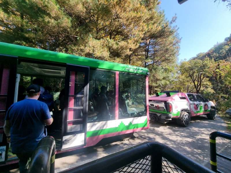 에버랜드 사파리