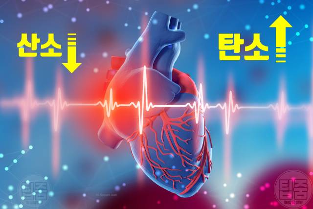 입으로 숨쉬면 얼굴변화 심부전 고혈압