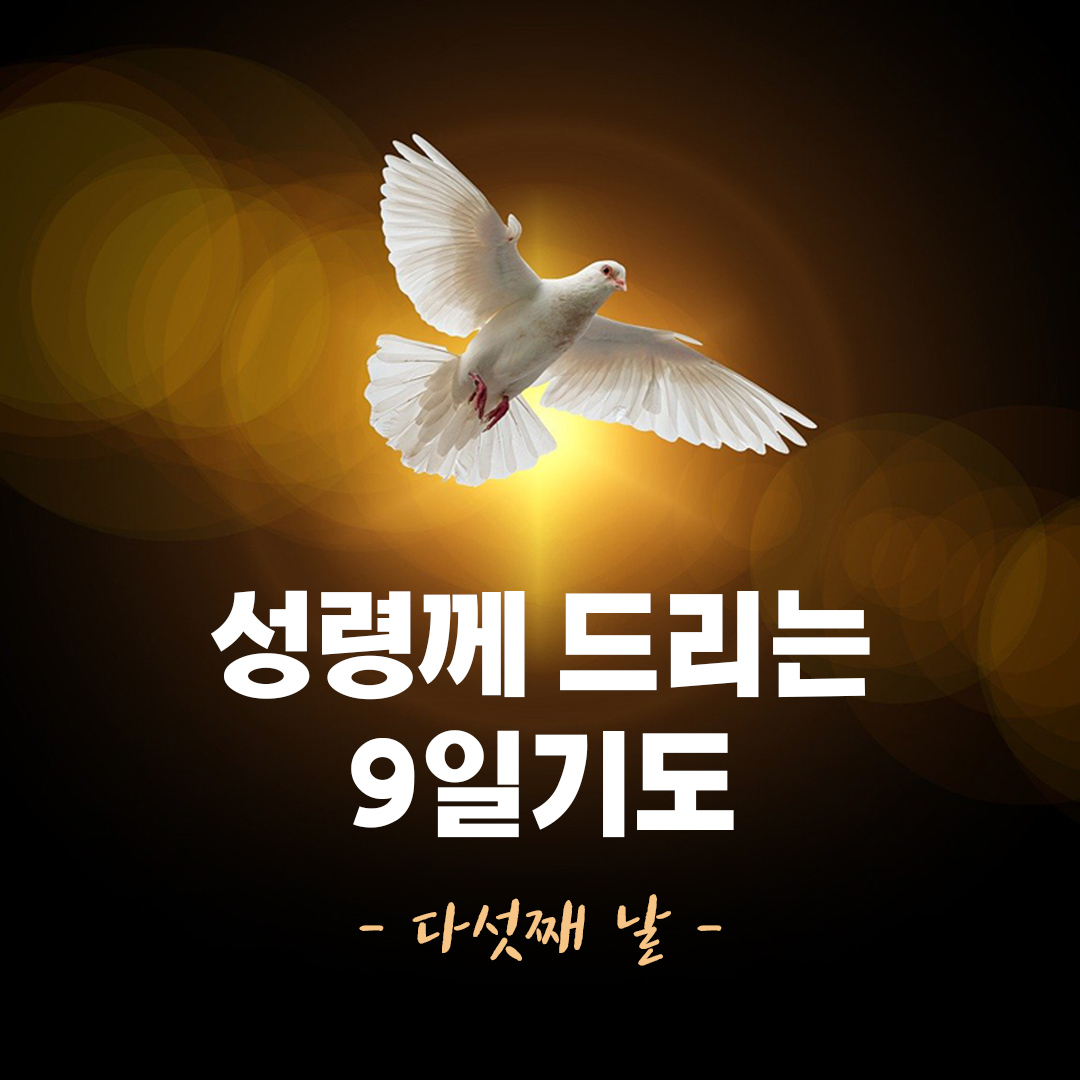 성령께 드리는 9일 기도 (성령강림 전 9일 기도) 다섯째 날