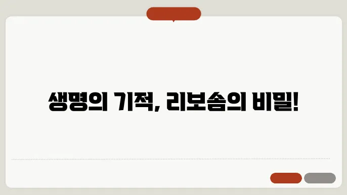 리보솜