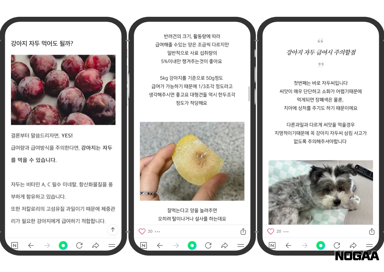 강아지 자두 먹어도 될까요?