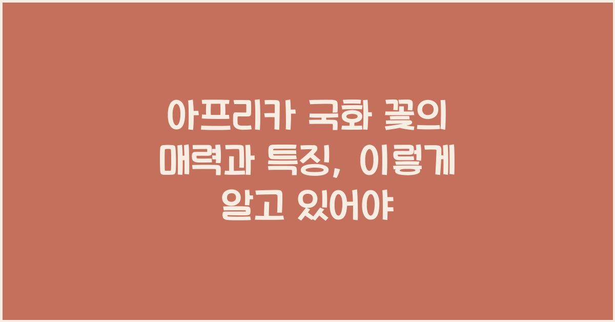 아프리카 국화 꽃의 매력과 특징