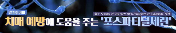 포스파티딜세린 효능