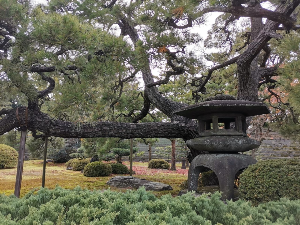 교토 여행 추천 교토 고쇼
