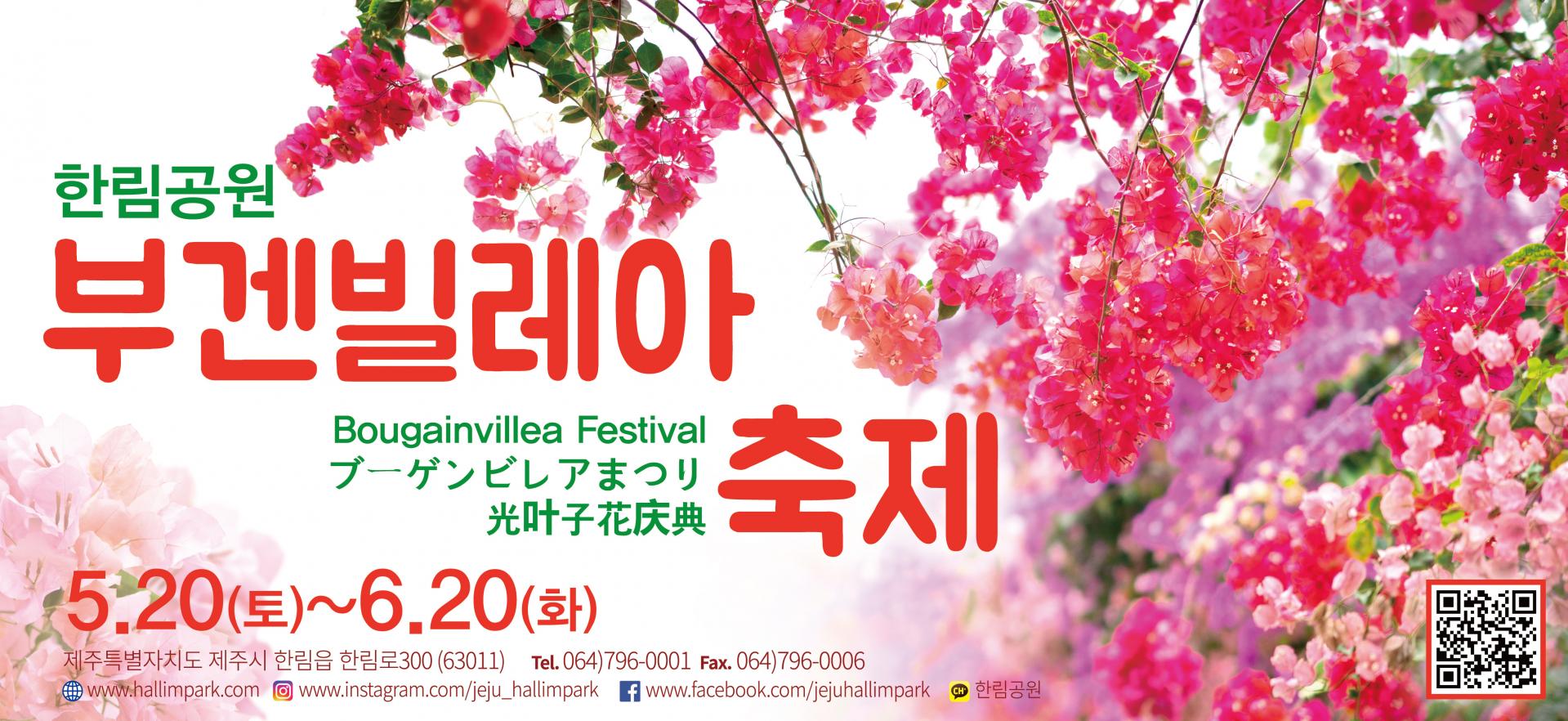한림공원 부겐빌레아 축제