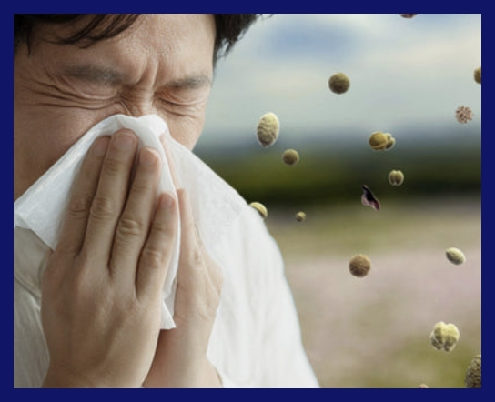 AI 소아 천식 예측 모델 개발 및 성능 평가