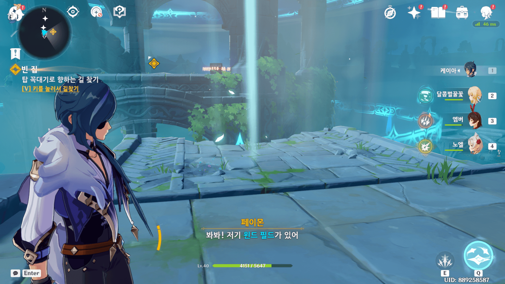 윈드 필드