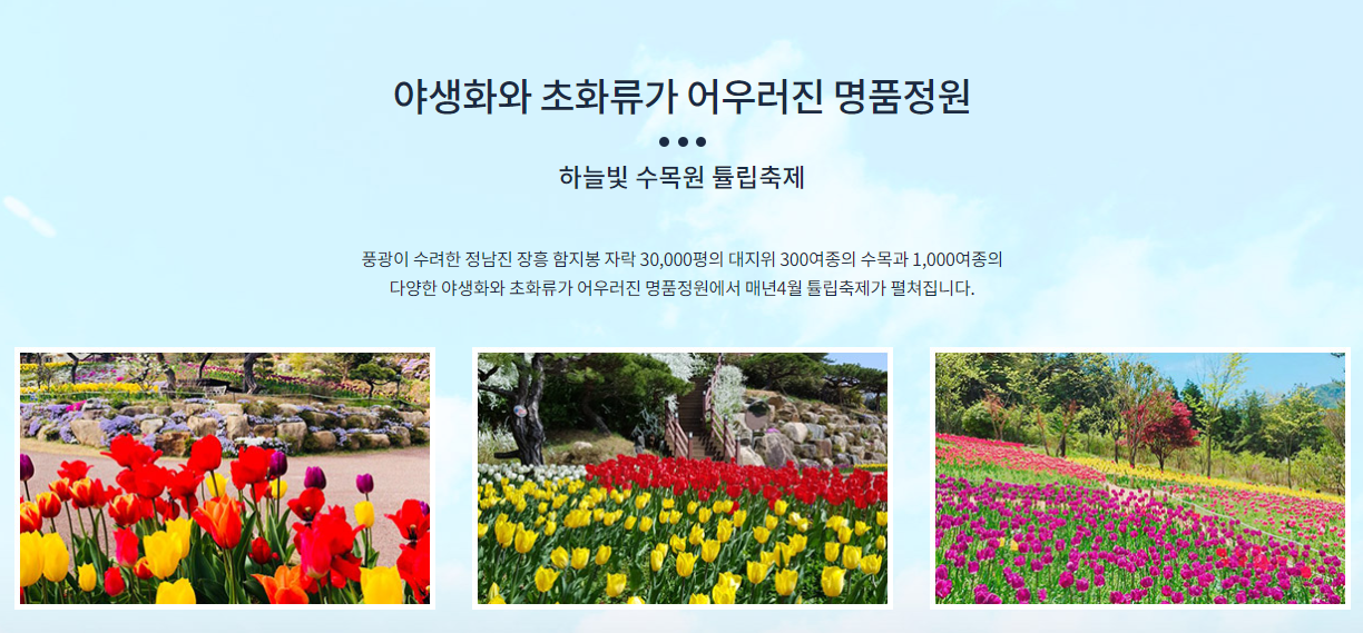 장흥-하늘빛수목원