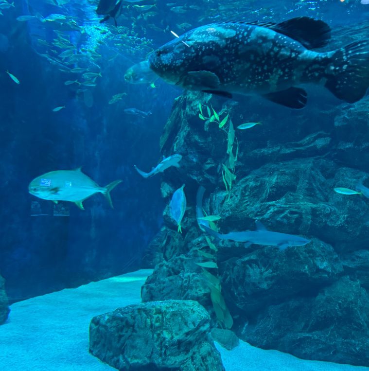 울진아쿠아리움