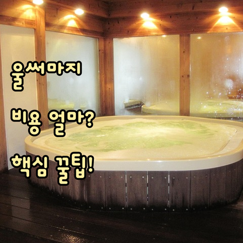 울쎄라 써마지 등 인기 레이저 시술 ..