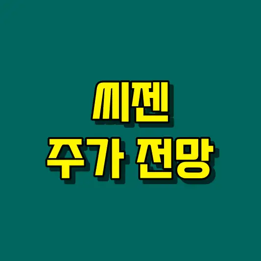 씨젠 주가 전망