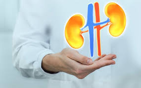 콩팥이 안 좋으면 나타나는 증상