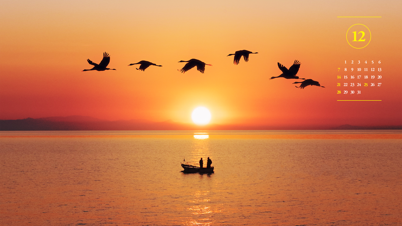 08 새해 일출과 새 A - 2025년12월 노트북배경화면