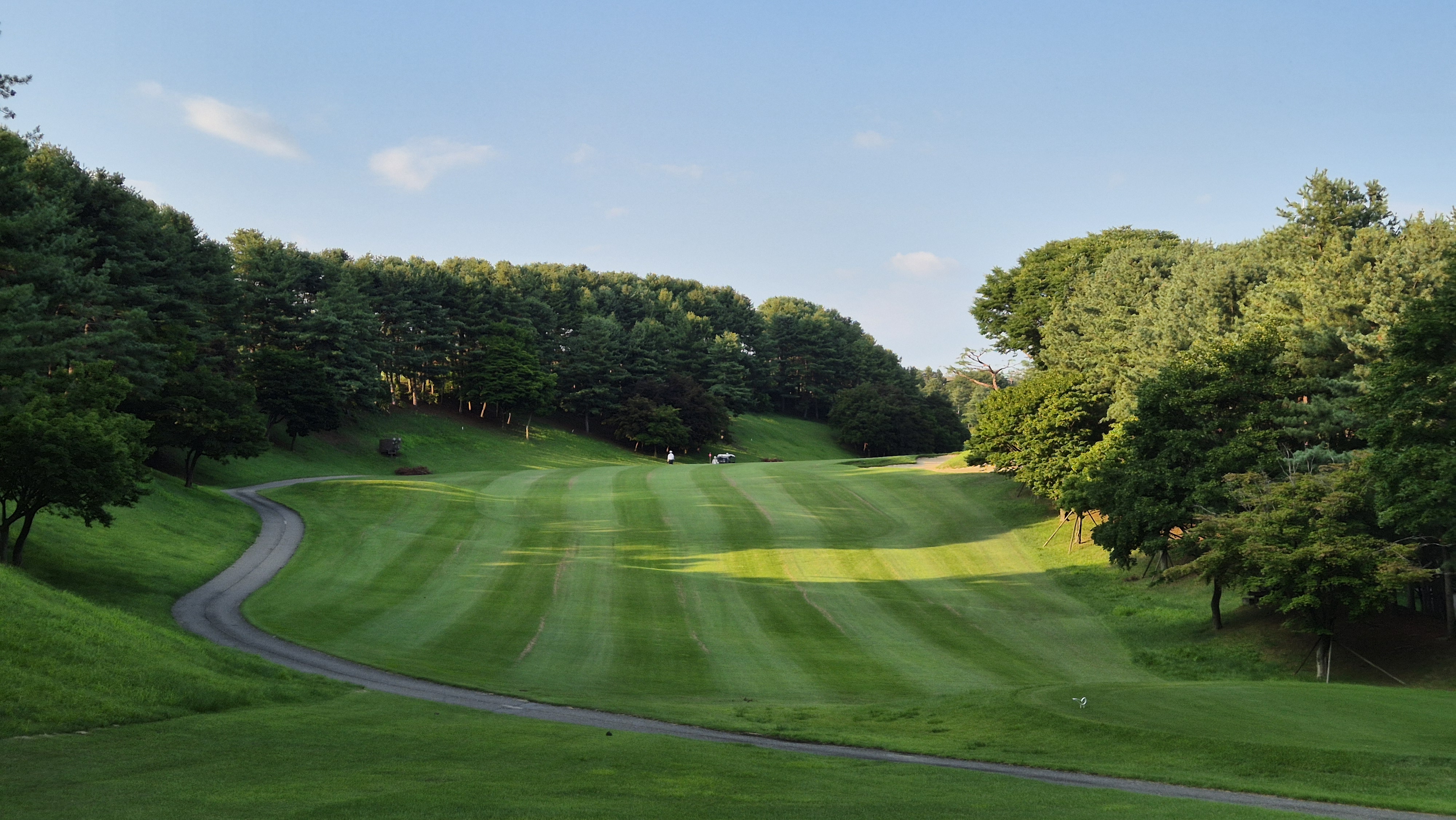 태광cc 북-서 코스 사진 및 공략 정보