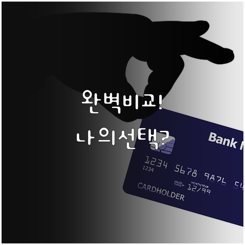 모두의 카드 일반형과 플러스형 차이점..