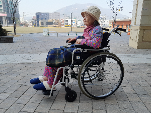 장기요양등급 종류