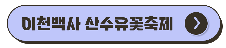 경기도 축제