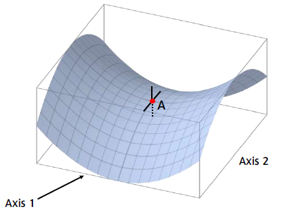 Saddle Point