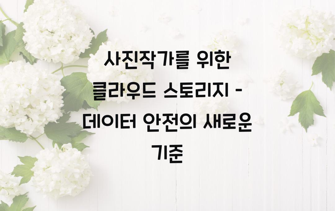 사진작가를 위한 클라우드 스토리지 – 가장 안전한 보관 방법은?