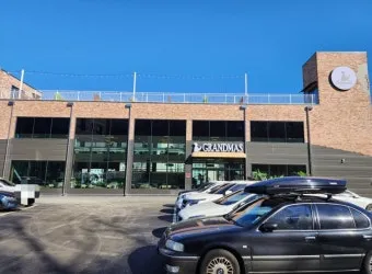 경기 광주 초대형 카페 그랜마스 애견동반_20