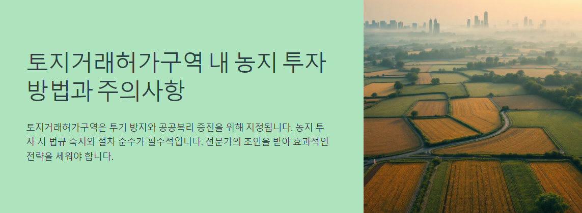 토지거래허가구역 내 농지 투자 방법과 주의사항