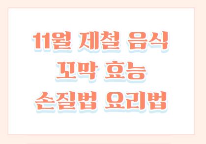 11월 제철 음식 꼬막 효능 손질법 요리법
