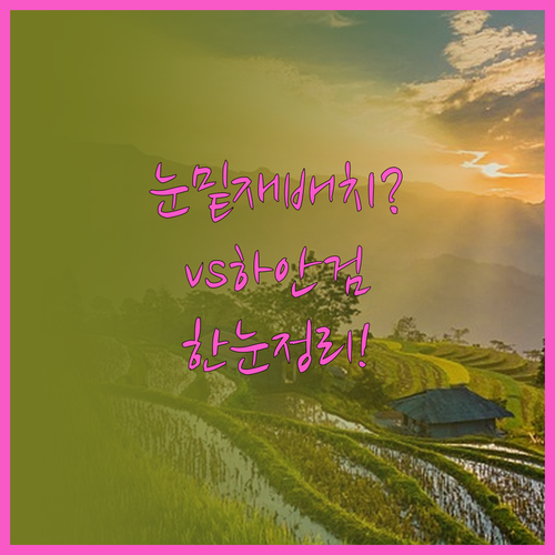 눈밑 지방 재배치 하안검 무엇이 다를..