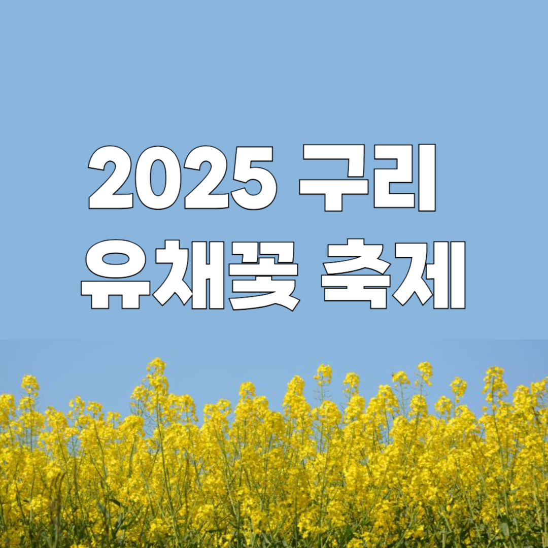 구리 유채꽃 축제