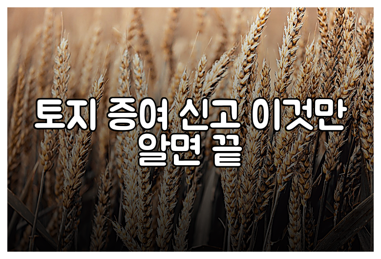토지 증여 신고 이것만 알면 끝