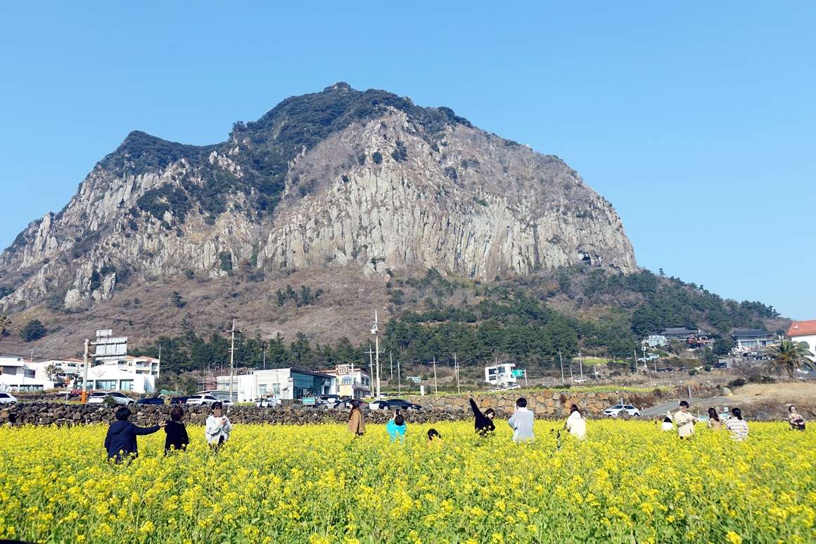 제주도 입도세