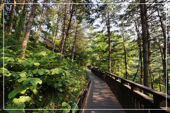 대청호 로하스길 이미지 / 출처: 대한민국 구석구석