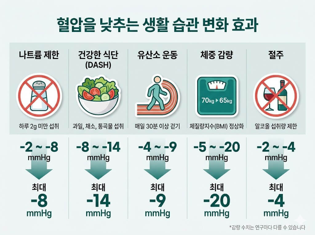 혈압을 낮추는 생활습관 관리 인포그래픽