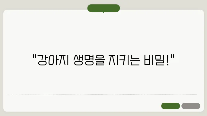 강아지 예방접종 설명