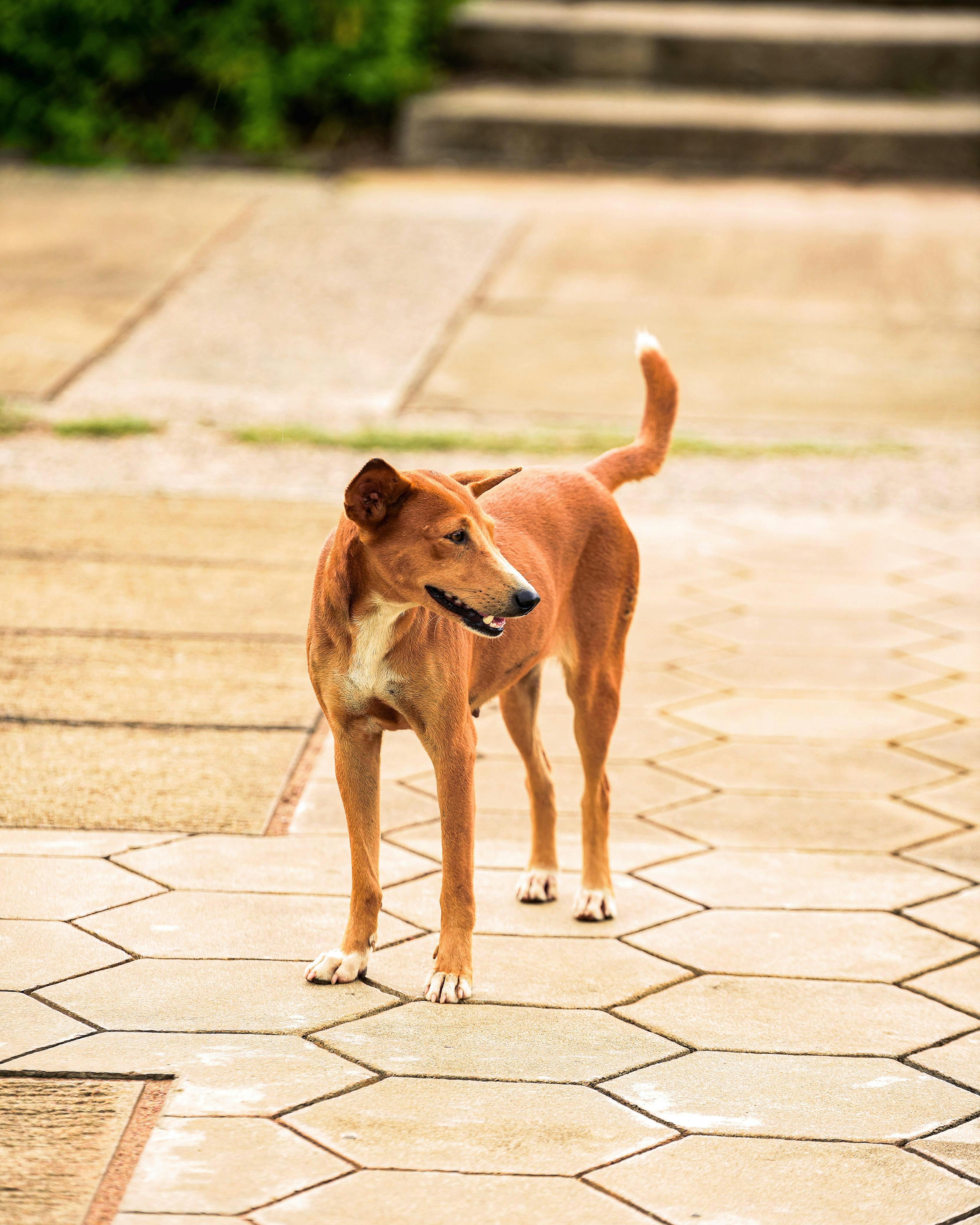 신라면세점 환불과 여권 없이 쇼핑하는 법, 환율 정보까지 한눈에!