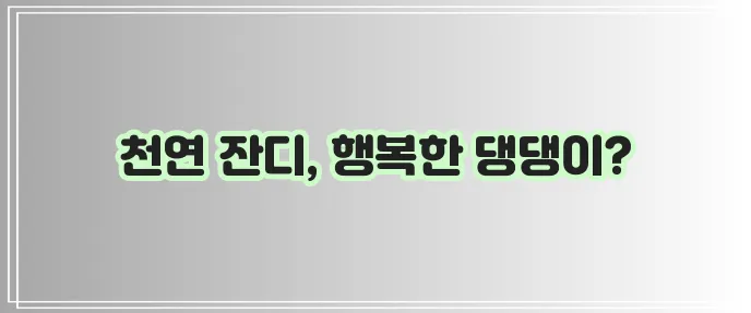 파주 글램독 그라운드 애견카페 넓은 천연 잔디장에서 행복한 시간, 정말 최고겠죠?