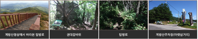 계방산2 등산코스(계방산정상 ~ 계방산주차장)