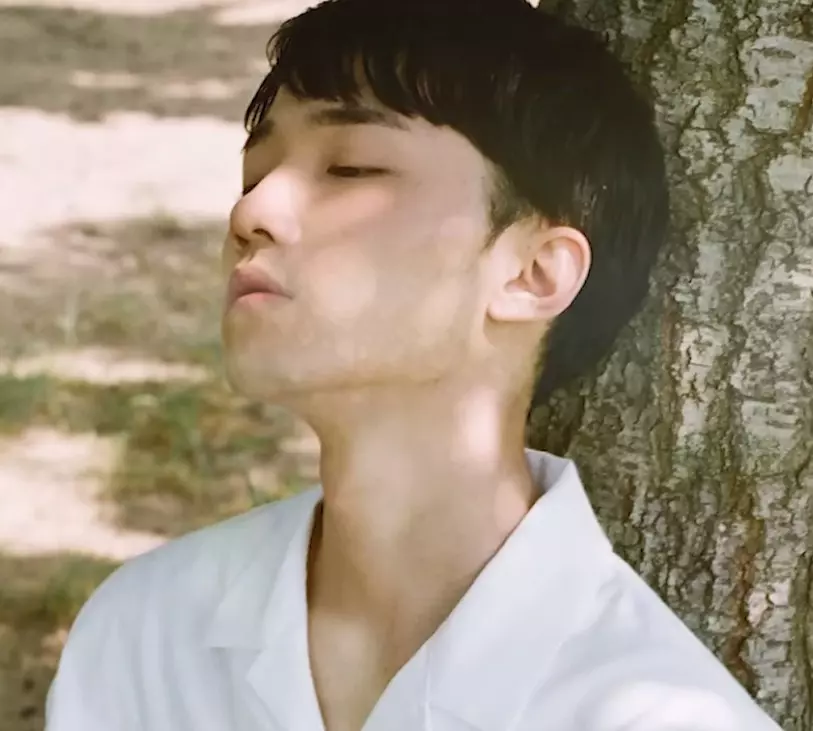 나무