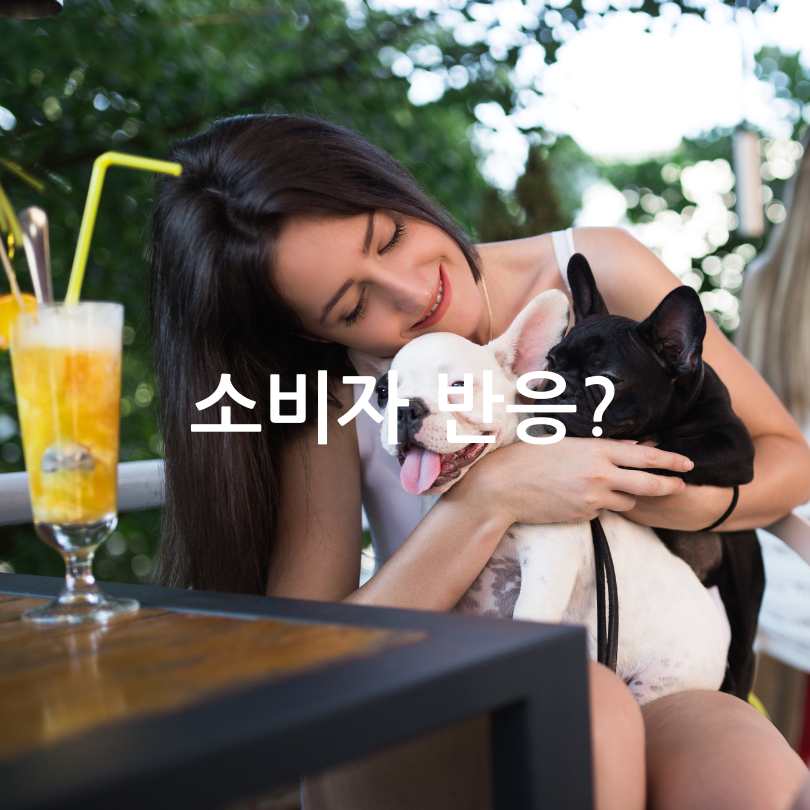 반려견 동반 스타벅스&#44; 멍푸치노