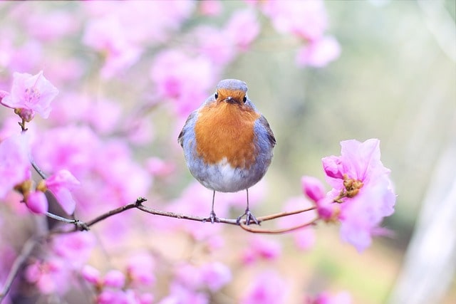 코로나 검사비용 사진